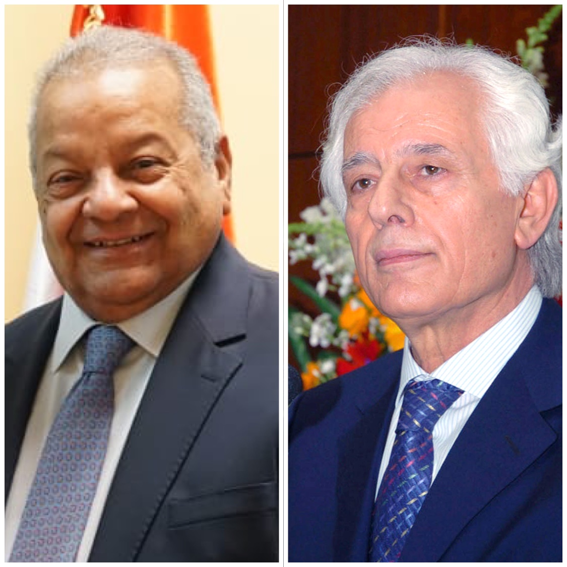 ذكريات دمشقية من مصر العربية عن مكونات الدم السورية