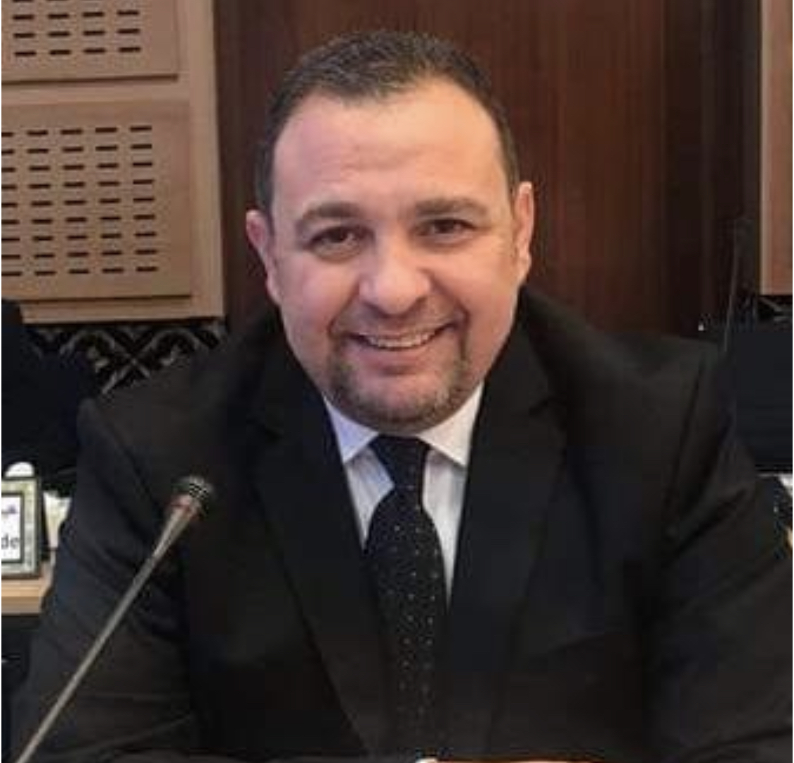 محمود بكري ; الاستحقاقات الدستورية وانتخابات مجلس الشيوخ