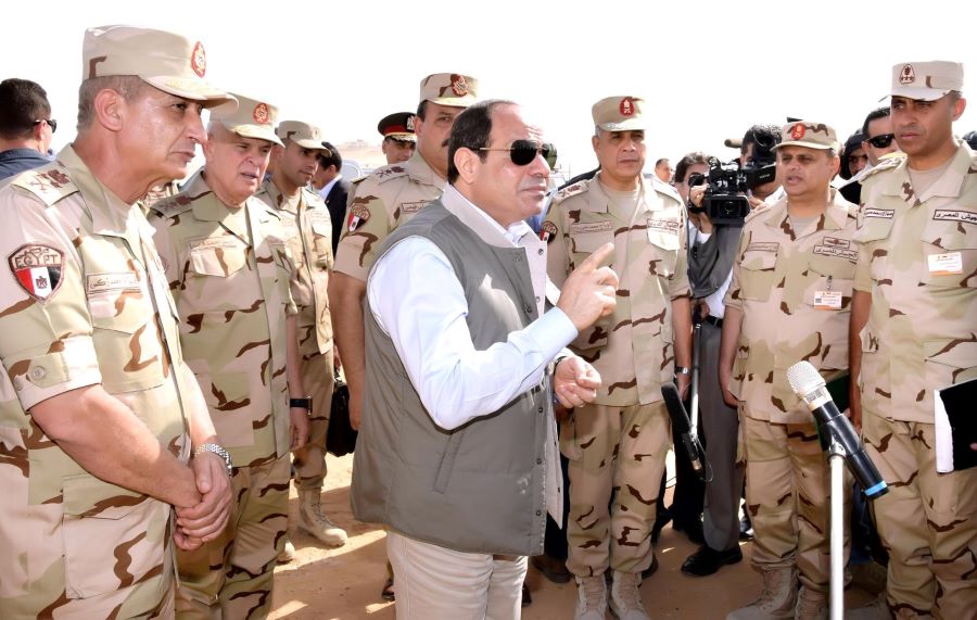 محمود بكري ; الاستحقاقات الدستورية وانتخابات مجلس الشيوخ